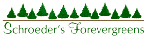 Schroeder's Forevergreens